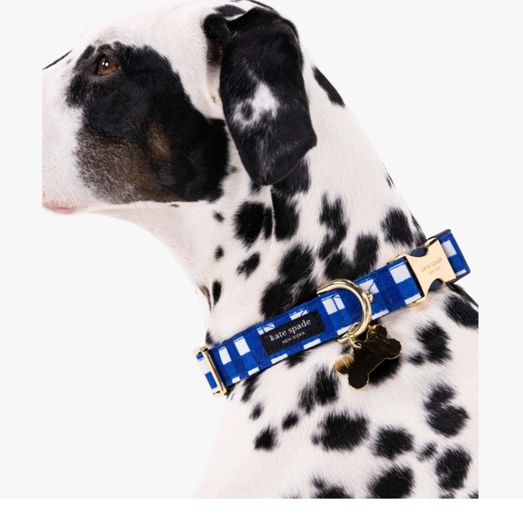 NWT! KATE SPADE GINGHAM COLLAR - Picture 4 of 4